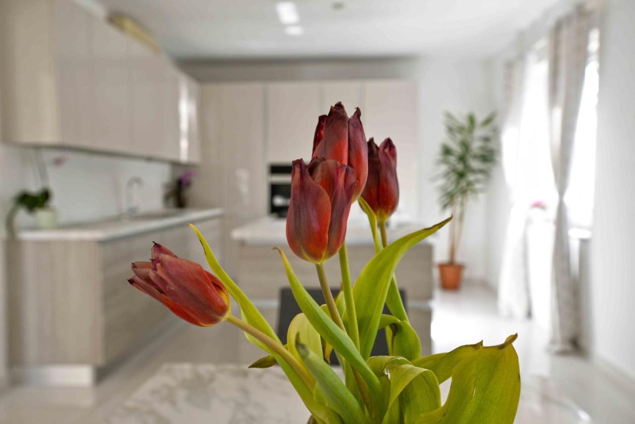 Vila Ena Murter Extérieur photo